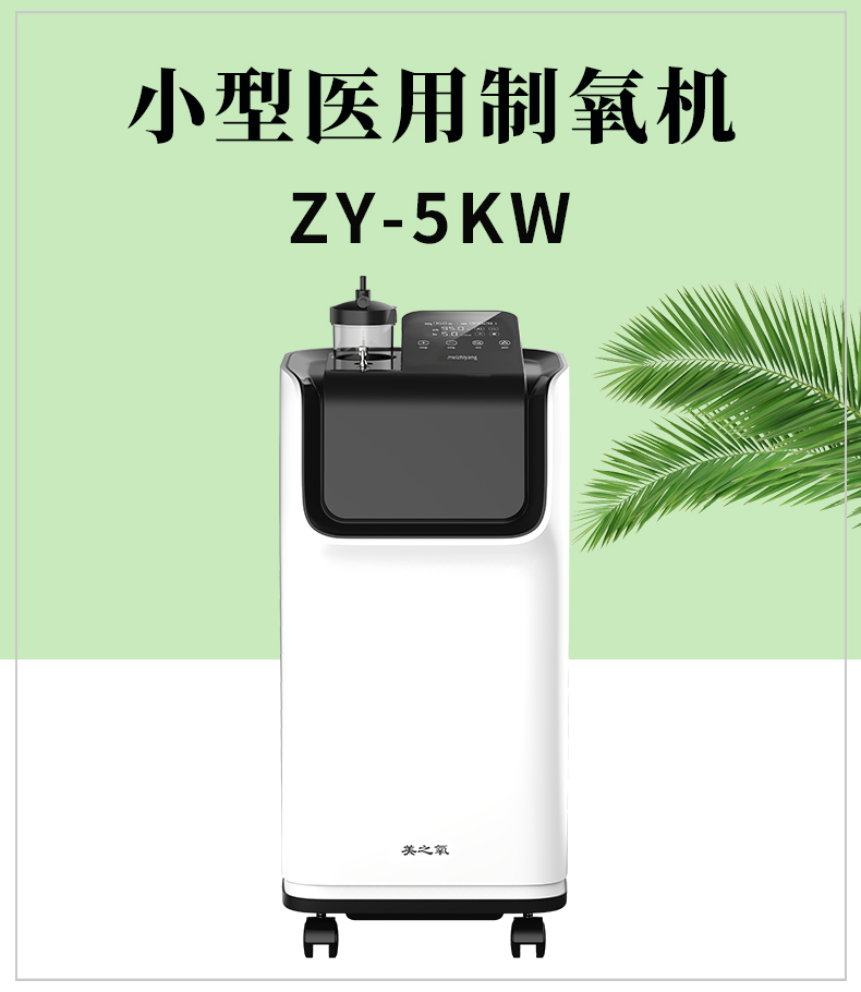 ZY-5KW